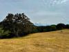 Terreno Agricolo in vendita a Luogosanto - 09, Foto 9