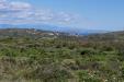Terreno Agricolo in vendita a Santa Teresa Gallura in capizza di vacca - 02, Foto 2