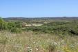 Terreno Agricolo in vendita a Santa Teresa Gallura in capizza di vacca - 03, Foto 3