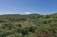 Terreno Agricolo in vendita a Santa Teresa Gallura in capizza di vacca - 04, Foto 4