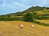 Terreno Agricolo in vendita a Luogosanto - 04, Foto 4