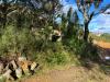 Terreno Edificabile in vendita a Luogosanto - 04, Foto 4