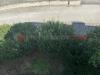 Villa in vendita a Camigliano - 03, 560477695_2990880357757730_481156695015638988_n.jp