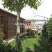Villa in vendita con giardino a San Benedetto del Tronto - 04, Casa Indipendente in vendita MaioraInvest (1).jpg