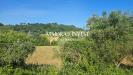 Terreno Agricolo in vendita a Monsampolo del Tronto in contrada pianelle - 02, Appartamento in vendita MaioraInvest1.jpg