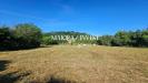 Terreno Agricolo in vendita a Monsampolo del Tronto in contrada pianelle - 06, Appartamento in vendita MaioraInvest6.jpg