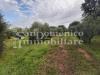 Terreno Agricolo in vendita a Collesalvetti - vicarello - 02