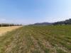 Terreno Agricolo in vendita a Vicenza in strada di gogna 118 - 03