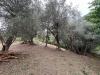 Rustico in vendita da ristrutturare a Barbarano Mossano in via giuseppe garibaldi 16 - 02, TERRENO