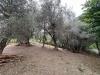 Rustico in vendita da ristrutturare a Barbarano Mossano in via giuseppe garibaldi 16 - 04, TERRENO