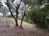 Rustico in vendita da ristrutturare a Barbarano Mossano in via giuseppe garibaldi 16 - 05, TERRENO