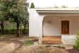 Villa in vendita con giardino a Ostuni in lamardilla - 06, _MG_1361.jpg