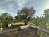 Villa in vendita da ristrutturare a Ostuni in strada provinciale 28 - 06, WhatsApp Image 2025-04-22 at 12.29.29 PM (2).jpeg