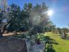 Villa in vendita a Ceglie Messapica in strada provinciale 29 - 04, WhatsApp Image 2025-07-11 at 5.48.38 PM-2.jpeg