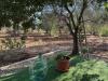 Villa in vendita a Ceglie Messapica in strada provinciale 29 - 05, WhatsApp Image 2025-07-11 at 5.44.33 PM.jpeg