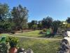 Villa in vendita a Ceglie Messapica in strada provinciale 29 - 06, WhatsApp Image 2025-07-11 at 5.48.14 PM-2.jpeg
