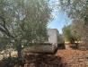 Villa in vendita da ristrutturare a Ostuni in sp28 - 05, WhatsApp Image 2025-08-21 at 4.46.33 PM (1).jpeg
