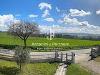 Villa in vendita con giardino a Todi in vocabolo santa maria maddalena - 06, villa olimpia 15.jpg