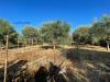 Terreno Agricolo in vendita da ristrutturare a Siracusa in strada provinciale 12 50 - 03, viste