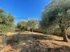 Terreno Agricolo in vendita da ristrutturare a Siracusa in strada provinciale 12 50 - 04, viste