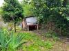 Appartamento in vendita con giardino a Varazze - 04, Foto 4