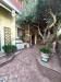 Appartamento in affitto con giardino a Roma in via dionisio 72 - 10, Foto 10