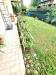 Villa in vendita con giardino a Borgo Ticino in via principale - 06, Foto 6
