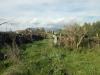 Terreno Agricolo in vendita a Tremestieri Etneo - 03, agricolo