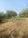 Terreno Agricolo in vendita a Belpasso - 02, terreno