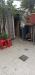 Casa indipendente in vendita con giardino a Viareggio in via bari - 05, Foto 5