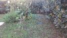 Villa in vendita con giardino a Vecchiano - nodica - 05