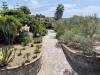 Villa in vendita a Lipari in san nicola san salvatore - 04, giardino