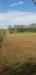 Terreno Agricolo in vendita a Forl in via bidente 00 - 02, Foto 2