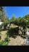 Appartamento in vendita con giardino a Ravenna in via emilio alessandrini 00 - 03, Foto 3