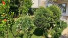 Casa indipendente in affitto con giardino a Faenza in via ronco 00 - 10, Foto 10