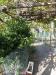 Casa indipendente in affitto con giardino a Faenza in via ronco 00 - 03, Foto 3