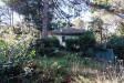 Villa in vendita con giardino a Cesena - 10, Foto 10