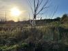 Terreno Industriale in vendita a Santa Venerina - 10, Foto 10