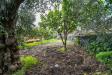 Villa in vendita con giardino a Mascali in via scorciavacca - 10, Foto 10