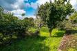 Terreno Agricolo in vendita a Acireale in via dello stadio snc - 03, Foto 3