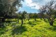 Terreno Agricolo in vendita a Acireale in via dello stadio snc - 09, Foto 9