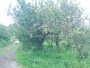 Terreno Agricolo in vendita a Acireale - 04, Foto 4