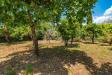 Villa in vendita con giardino a Acireale in via prov. le per s. m. ammalati 187/a - 09, Foto 9
