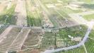 Terreno Agricolo in vendita a Mineo in contrada santacroce - 06, Foto 6