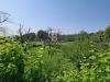 Terreno Agricolo in vendita a Piedimonte Etneo in via ragonesi - 05, Foto 5