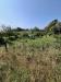 Terreno Agricolo in vendita a Piedimonte Etneo in via ragonesi - 06, Foto 6