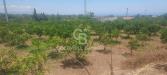 Terreno Agricolo in vendita a Santa Venerina - 09, Foto 9