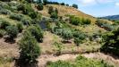 Terreno Agricolo in vendita a Piedimonte Etneo - 07, Foto 7