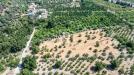 Terreno Agricolo in vendita a Taormina in via francavilla snc - 02, Foto 2