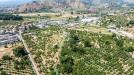 Terreno Agricolo in vendita a Taormina in via francavilla snc - 03, Foto 3